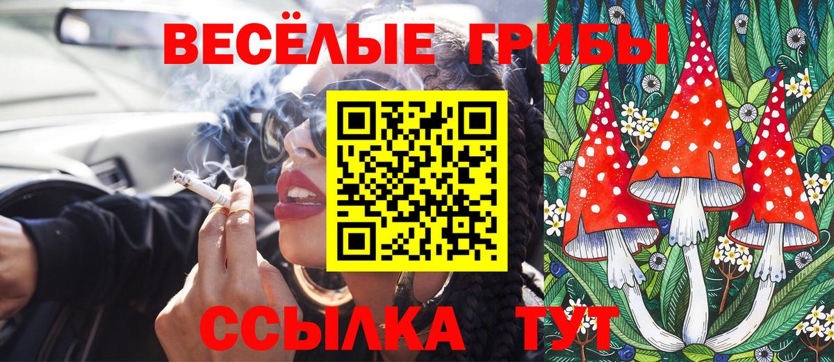 Фролово  Псилоцибиновые грибы мицелий  Вход с VPN 